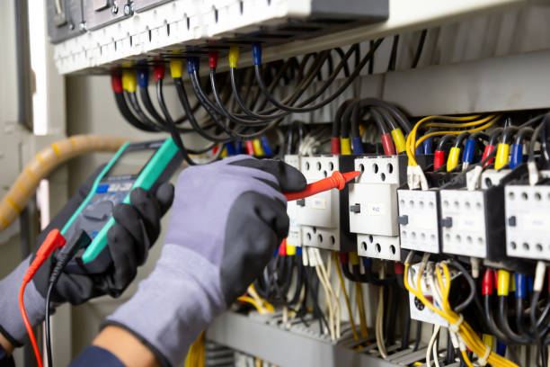 Best Electrical Panel Upgrades  in Kaunakakai, HI